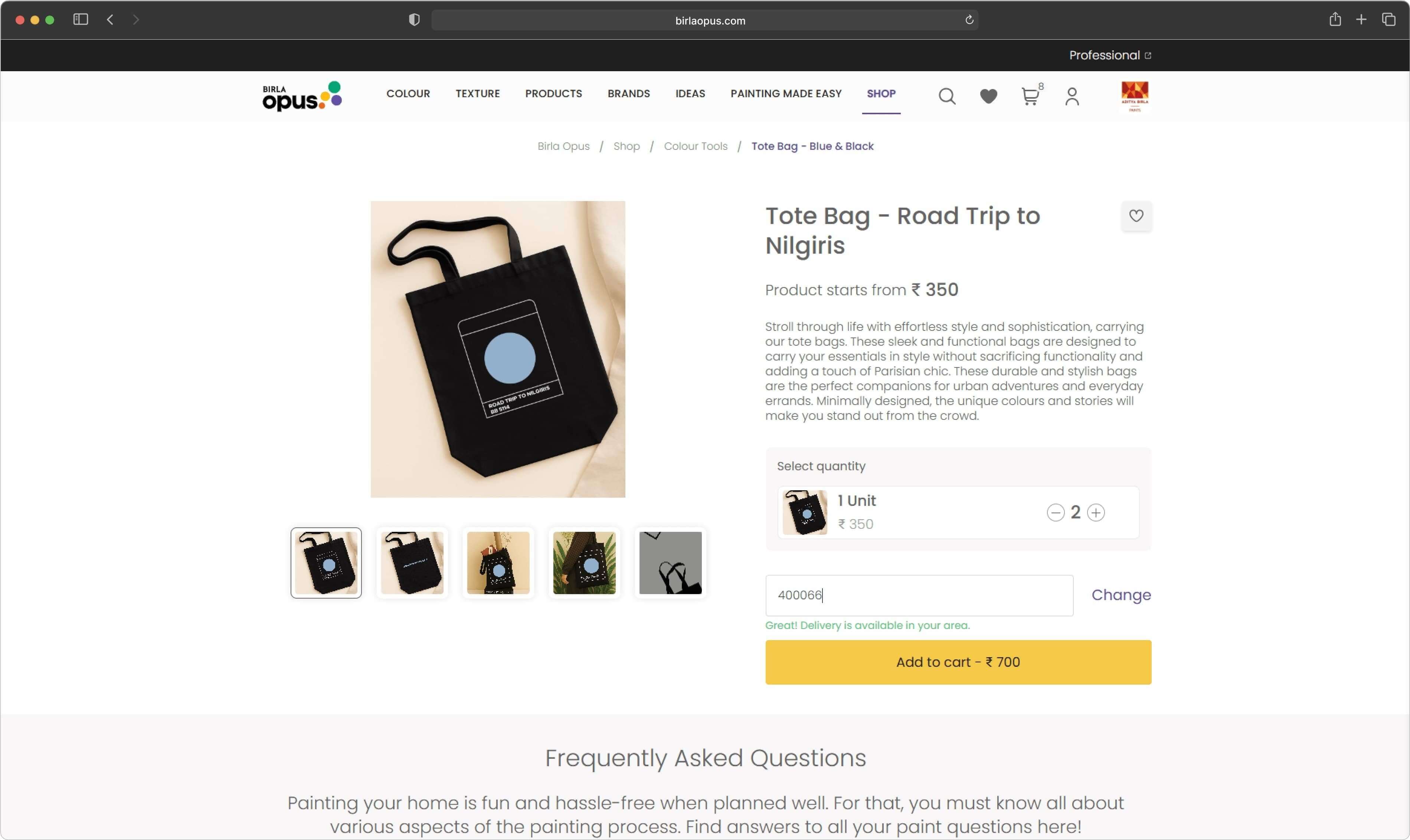 Birla Opus Paints - View 4