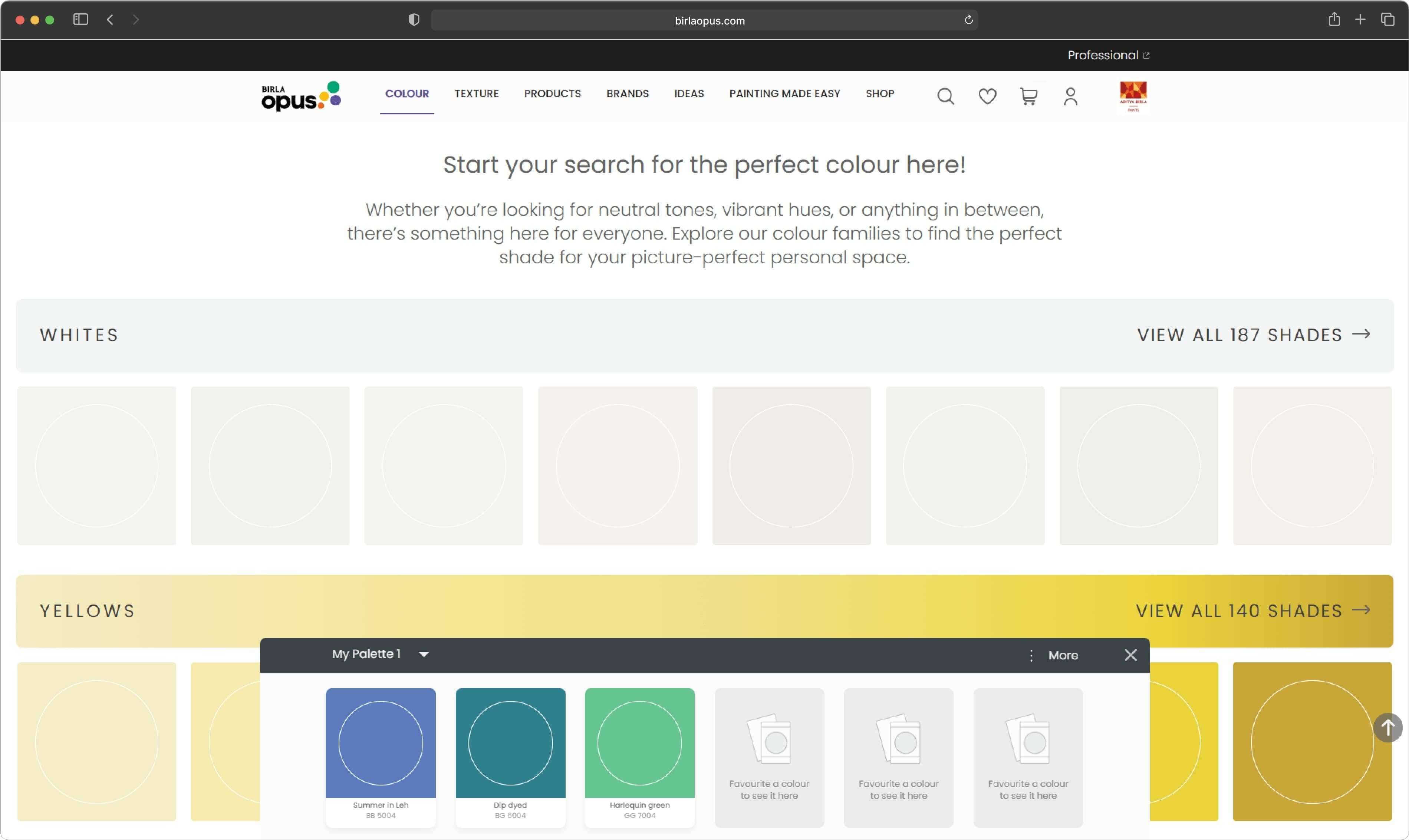 Birla Opus Paints - View 2